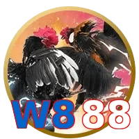 W888