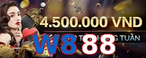W888