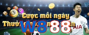 W888
